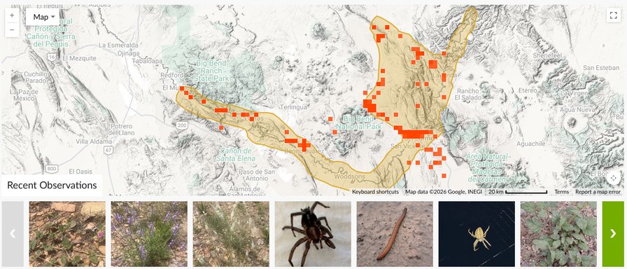 BioBlitzObsMap
